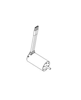 Brushless 4S Motor