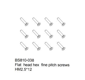 Flat  head hex fine pitch screws HM2.5x12 